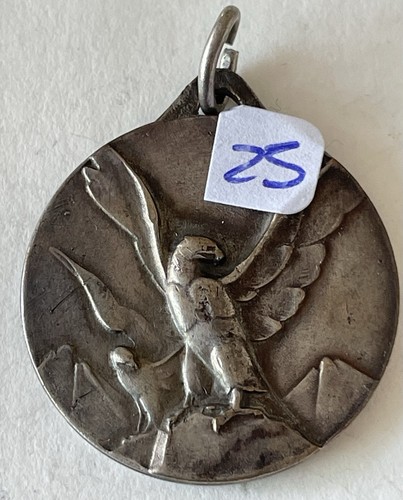 Medaglia fgc verona - medaglia, campo