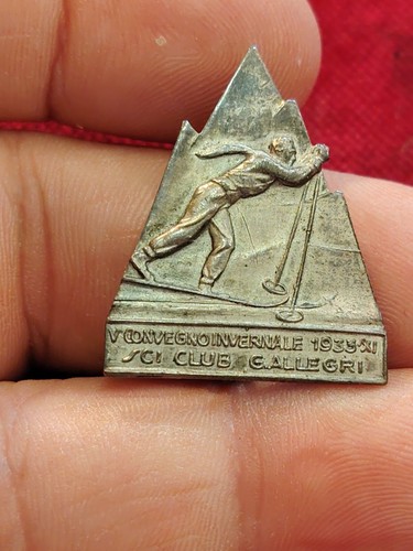 Distintivo sci ski montagna - sci,,
