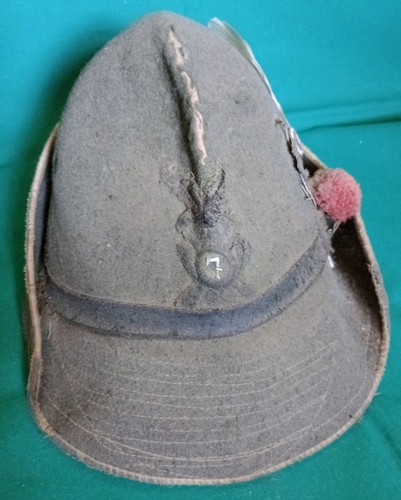 Alpini truppe montagna - truppe,