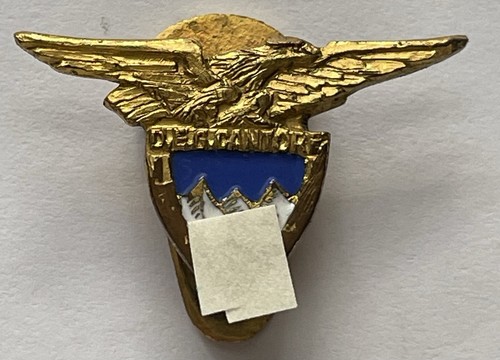 Distintivo deg cantore - distintivo,