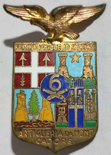 Distintivo reggimento - distintivo,