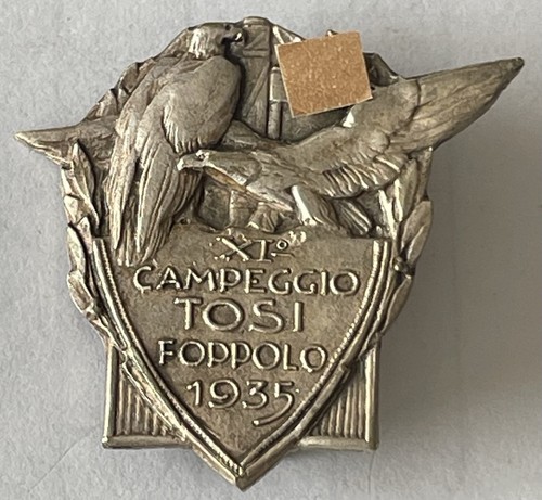 Distintivo ond campeggio tosi - distintivo,
