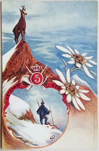 Cartolina reggimento alpini - cartolina,