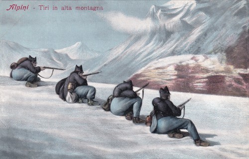 Cartolina militare alpini - cartolina,